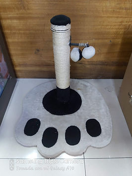 BCT0021.jpg
