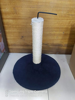 BCT0024.jpg