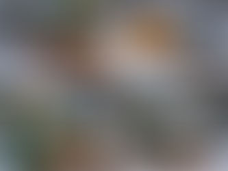 Tarpaulin Uses for Winter Outdoor Camping