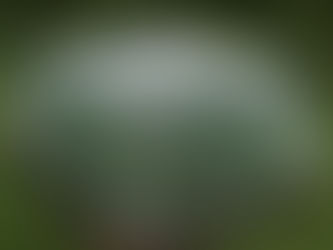 Using Poly Tarpaulins for Weatherproofing Your Garden