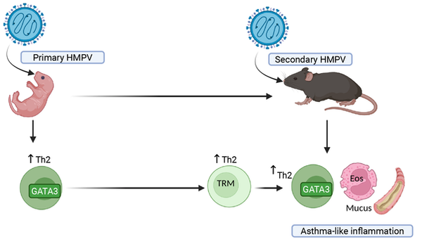 TRM_Graphical_abstract.png