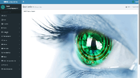MANAGER MONITOR GUAGUAS.gif