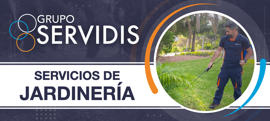 GIF-BANNER-SERVICIOS-GRUPO-SERVIDIS.gif