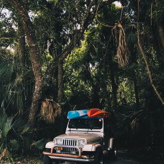 Knoxville TN nature photography