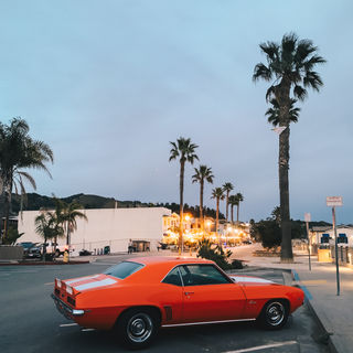 Knoxville TN nature photography