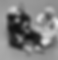 IMG_7339_edited.png
