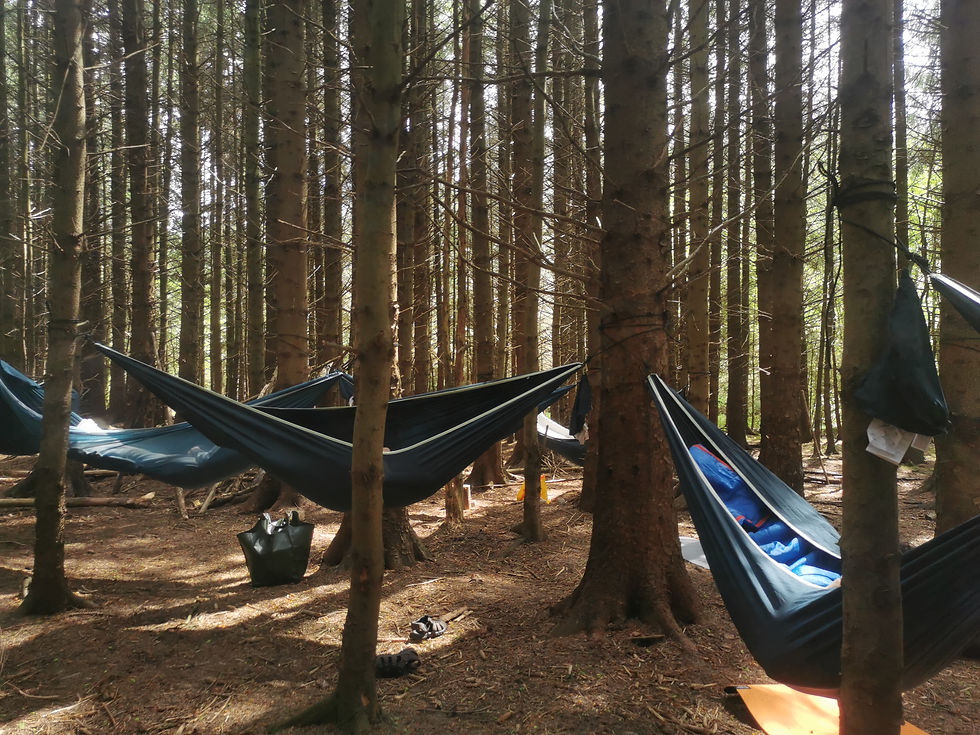weightless woodland | hammock sound bath - gisburn forest