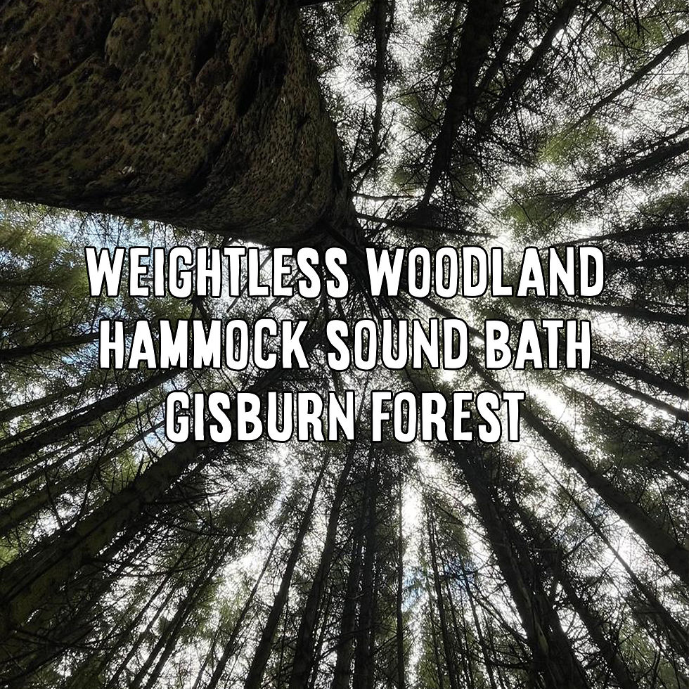 Weightless Woodland | Hammock Sound Bath - Gisburn Forest 