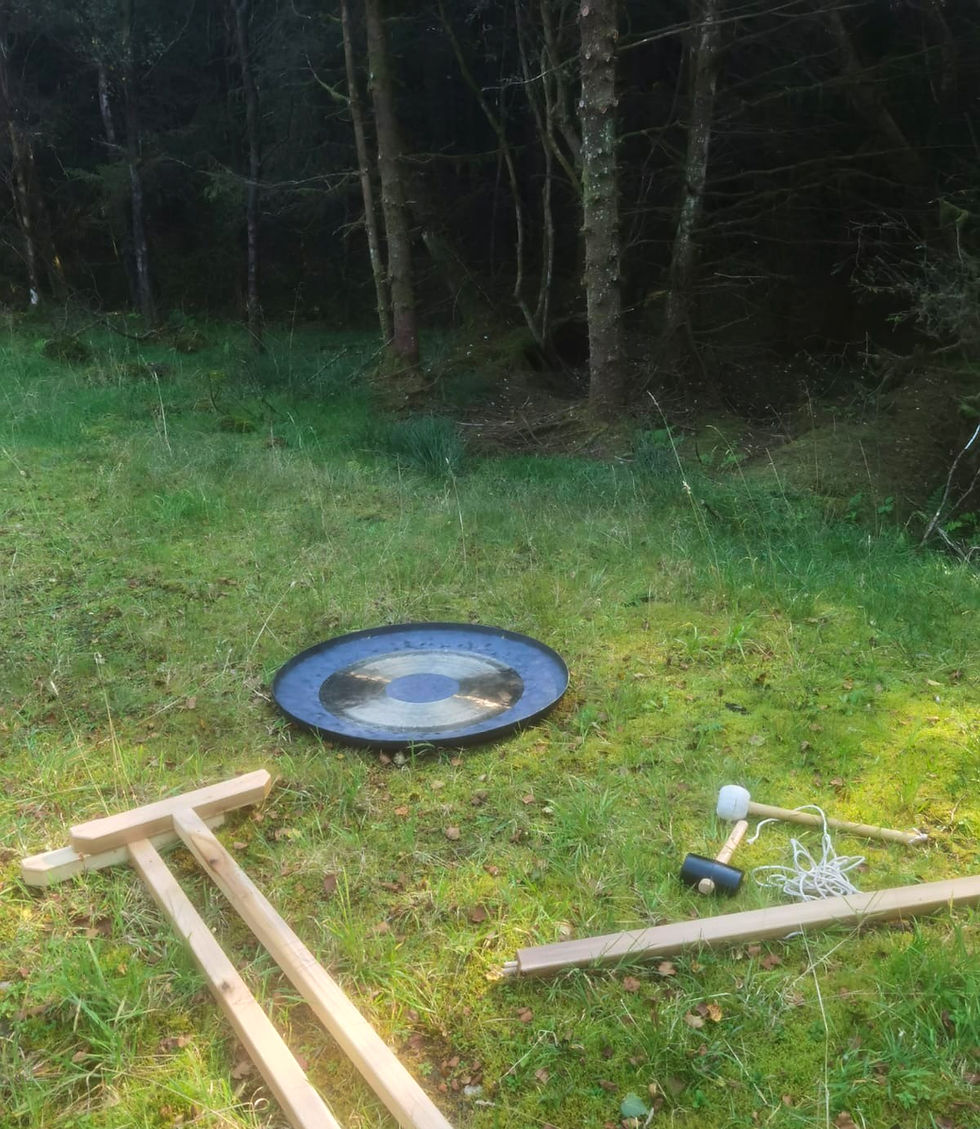 forest bath setup.jpg