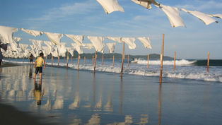 砂浜美術館 黒潮町入野