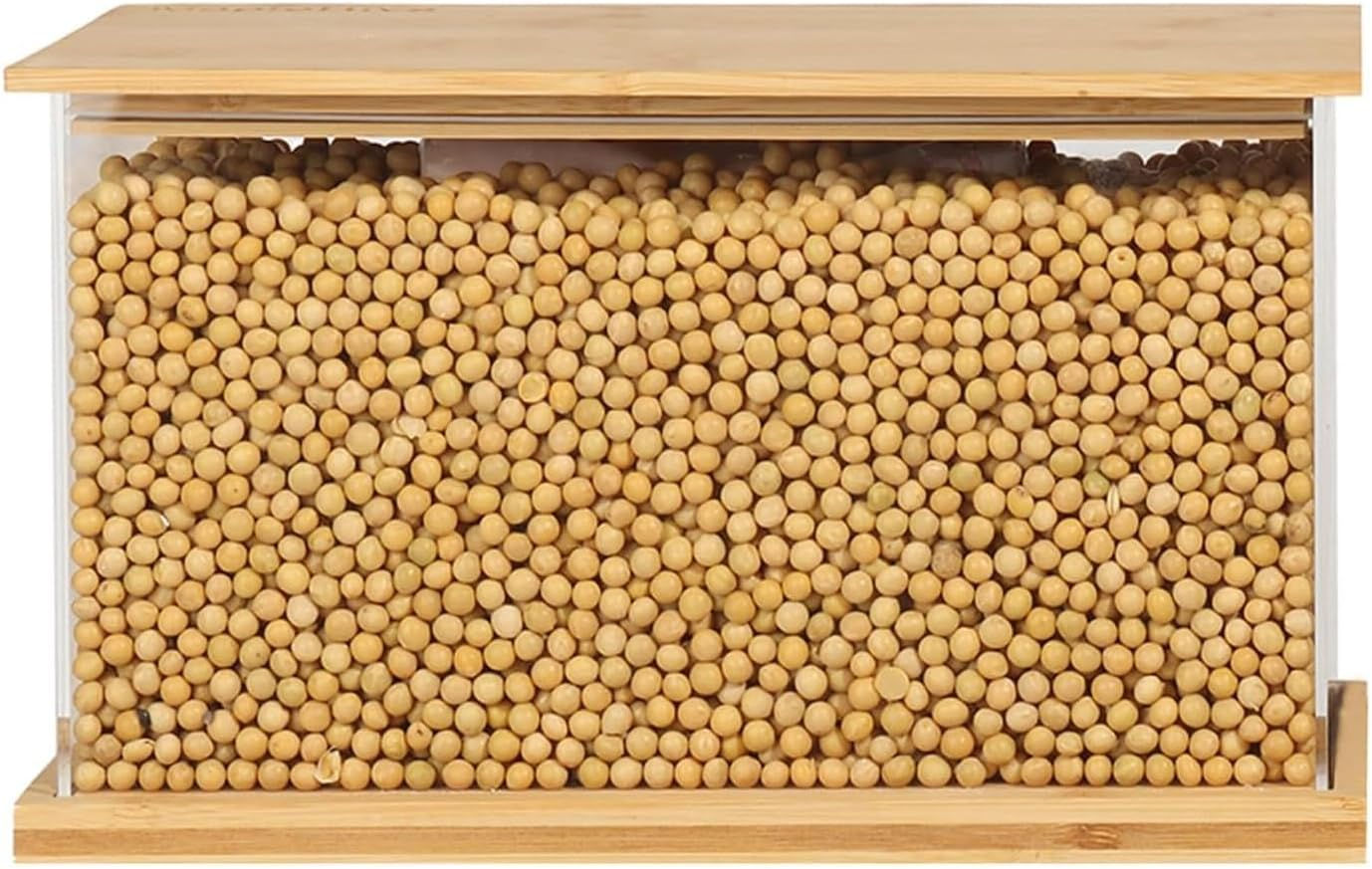 BIG BAMBOO CONTAINER