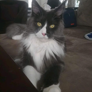 2022-05-01 21.55_edited.jpg