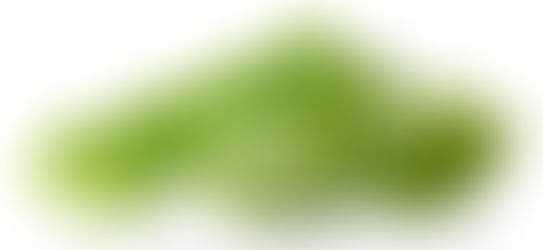 DESCUBRE LAS PROPIEDADES DEL ALOE VERA