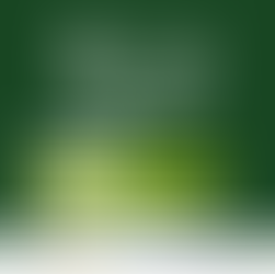 Durante as duas semanas de discussões da COP30, Absae apoia a Casa Saberes da Amazônia