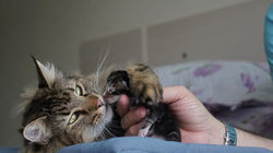 Não existe mamãe mais carinhosa!!! _3