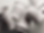 thistle-and-hitch-coffee-cups2.png