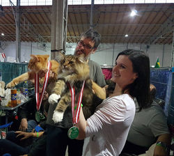 Mingus e Porque Sim e suas medalhas