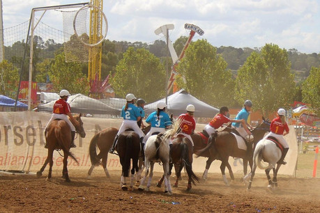 54415259_1974018956060975_81399168952067