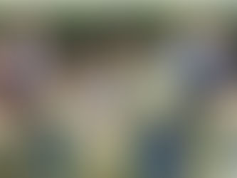 Schüleraustausch: Diese Jugendlichen reisen ins Ausland