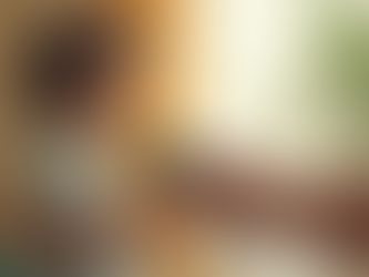 Actions concrètes pour la santé mentale : la mission de Peaceful Mind