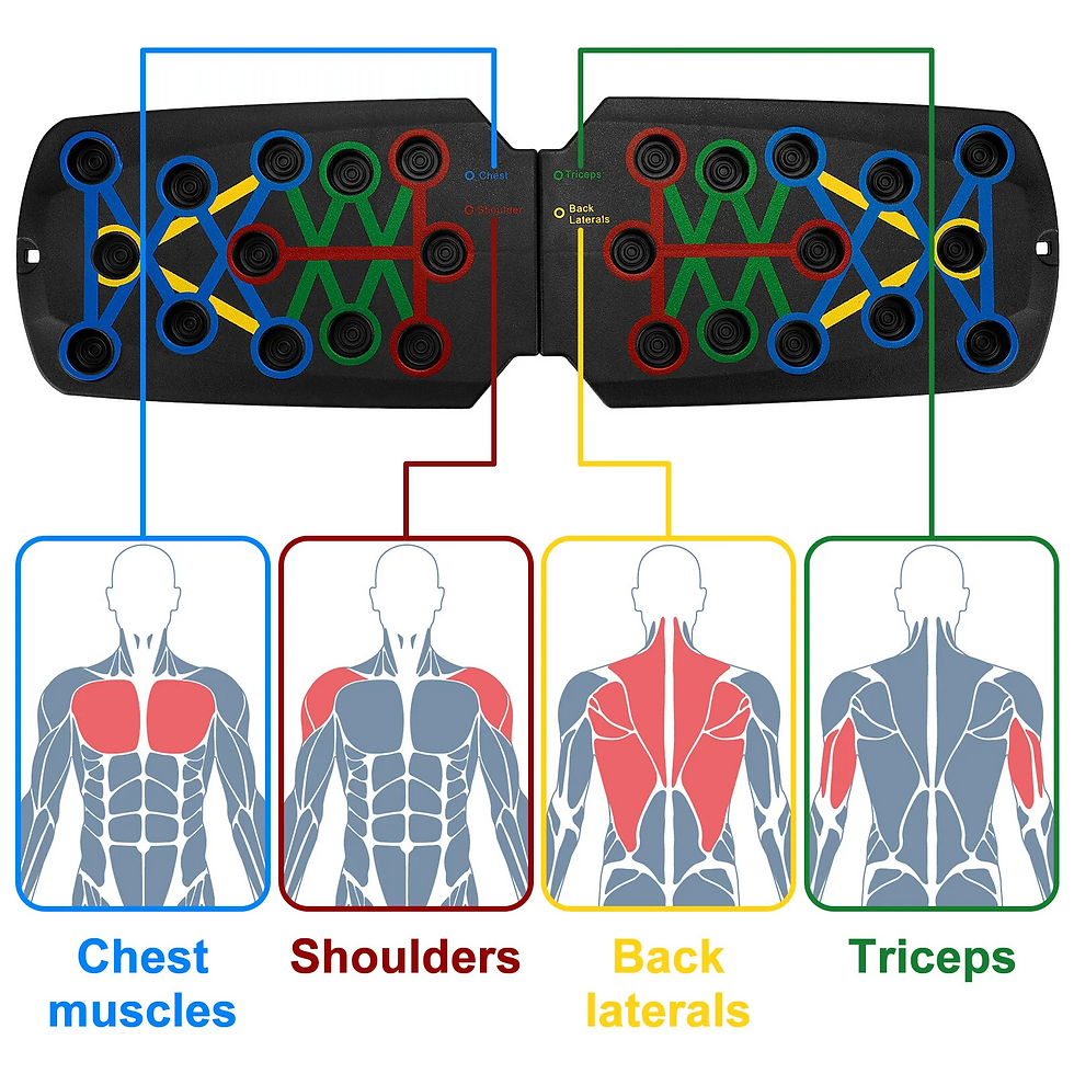 Miniatura: 28 in 1 Push Up Rack Board System Fitness Workout Train Home Gym Exercise Stands