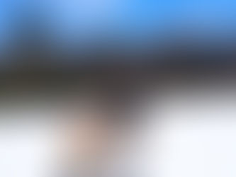 Où faire du chien de traîneau ?