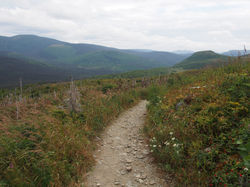 Parc_national_de_Gaspésie_(8)