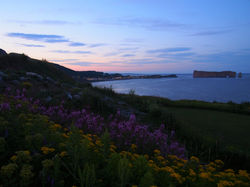 Percé (4)