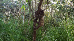 Stabilisé_-_20200301_154102_Moment