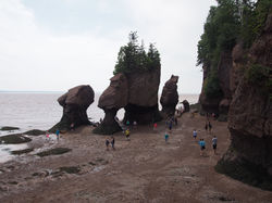 Parc national de Fundy (11)