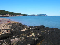 Parc national de Fundy (4)