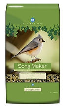 song maker.jpg