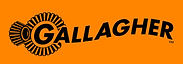 gallagher_edited.jpg