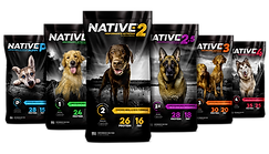 Native-Lock-up_F.png