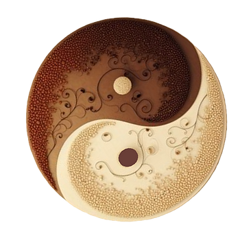 yin yang symbol_edited.png