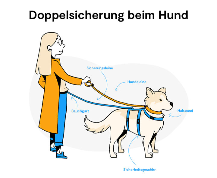 Erstausstattung, ein Tierschutzhund zieht ein