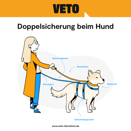 Doppelsicherung