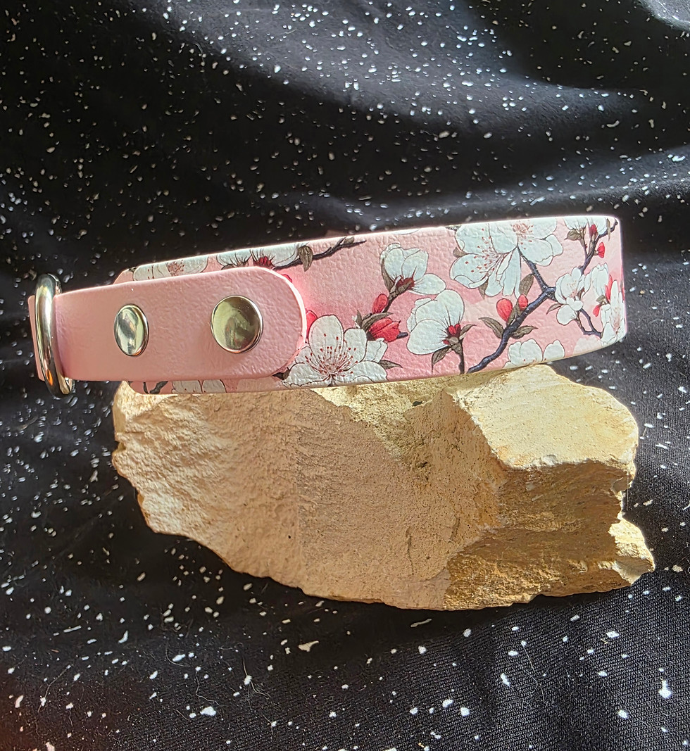 Miniaturbild: Halsband 25mm mit Motiv und 20mm breitem Zugstopp
