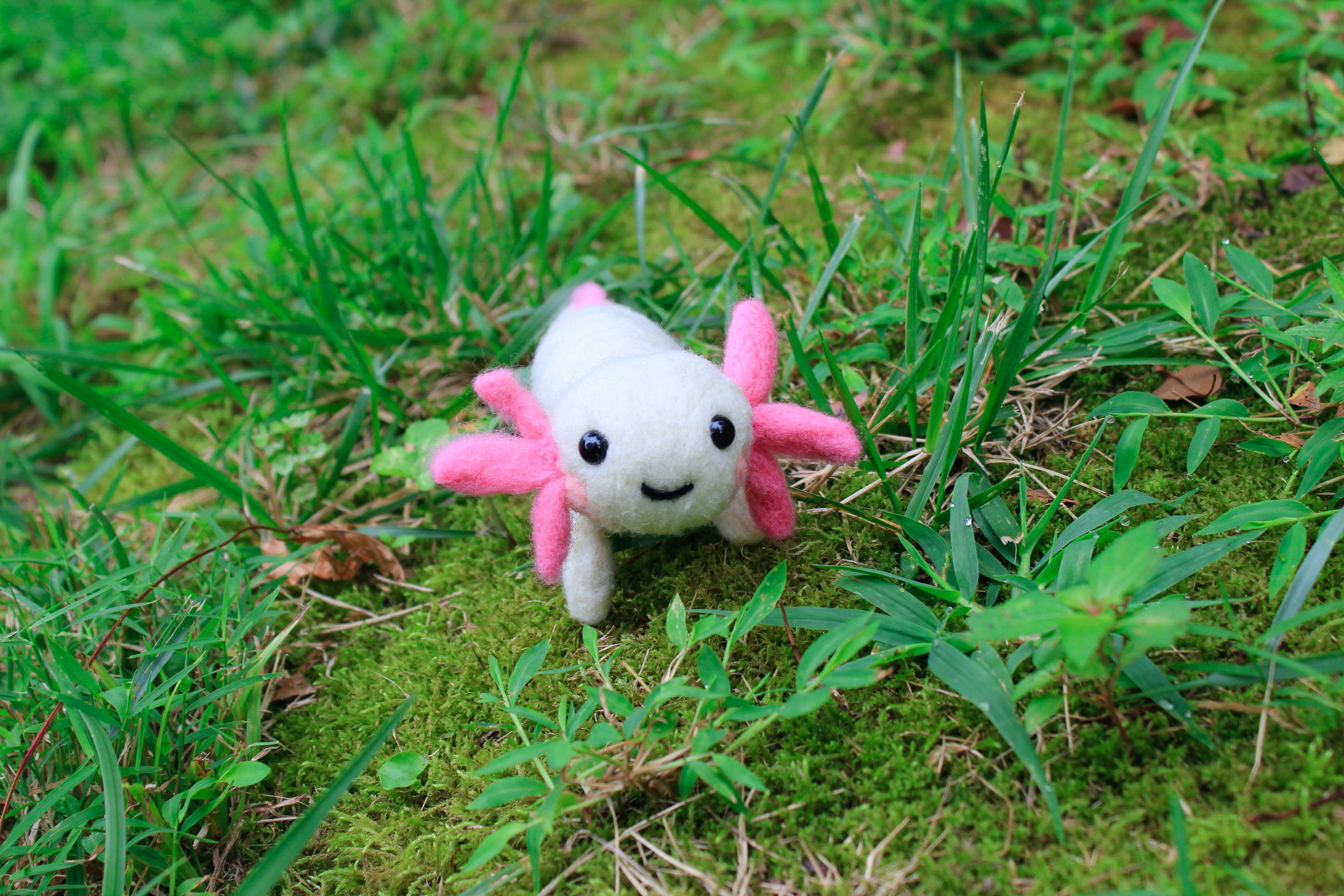 Felted Pink Axolotl