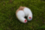 Thumbnail: Felted Corgi Butt Hair Clip or Pin
