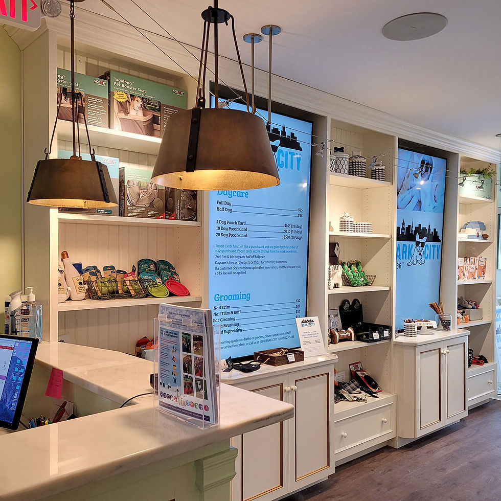 Doggy Daycare Retail Space