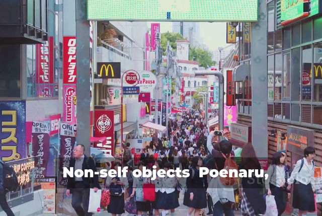 THE IMPACT OF NON-SELF OBJECTS IN MODERN SOCIETY