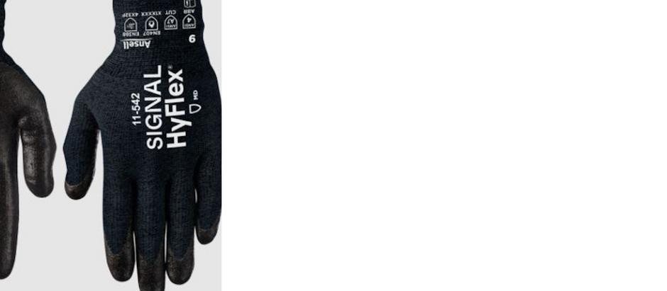 DIGITAL PHENOTYPING AND BIOLOGICAL RHYTHM DISRUPTION: PREDICTING HEALTH RISKS IN THE AGE OF SCREEN-BASED LIVING