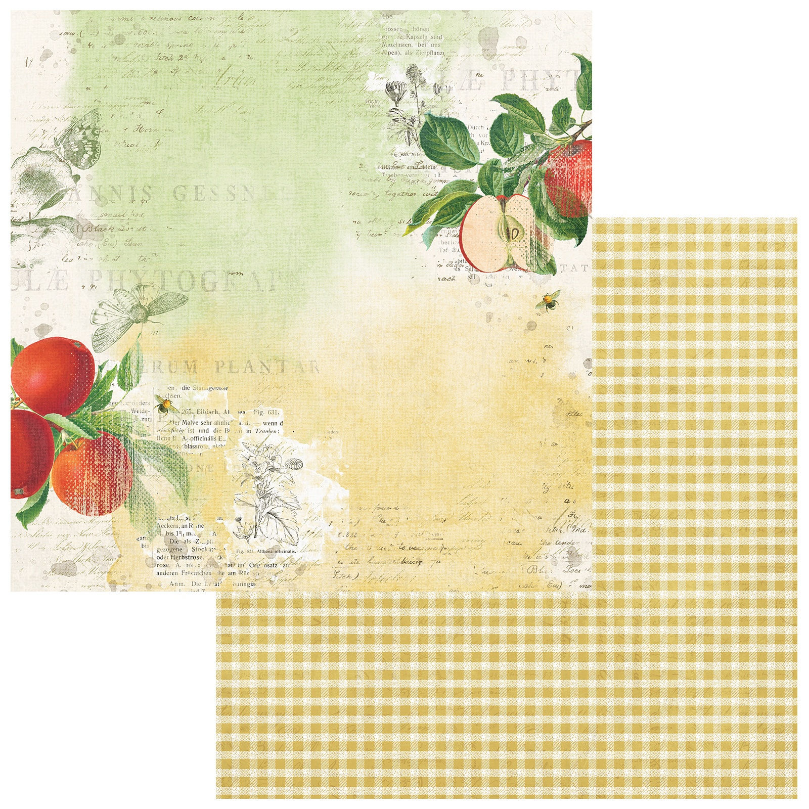 “Vintage Orchard ” 12x12 Sheets