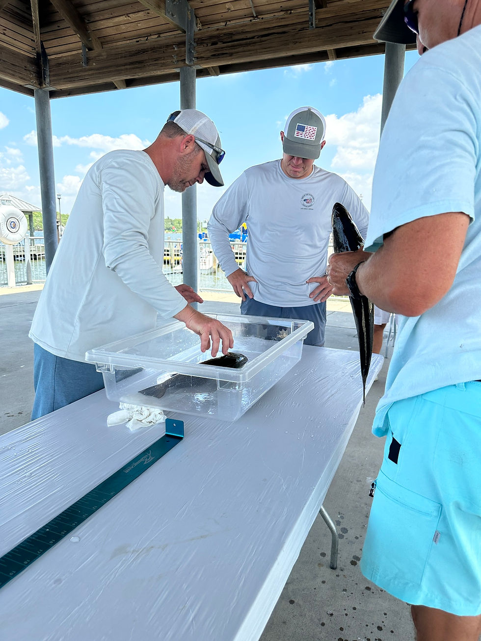 367954734_681734257321186_2172683361305866355_n