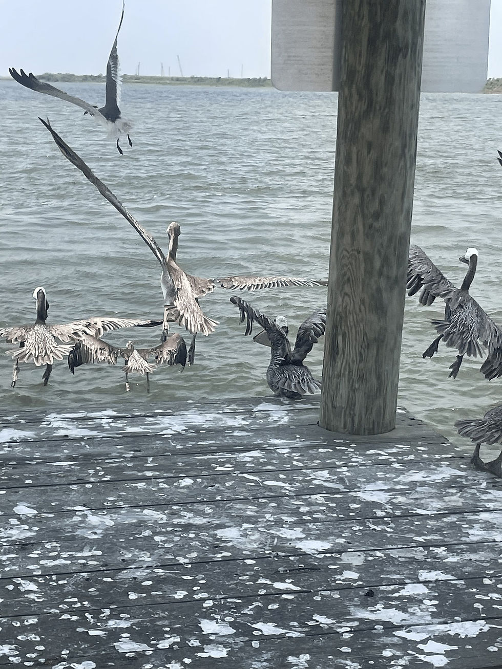 367493136_681735210654424_5306438904924034702_n