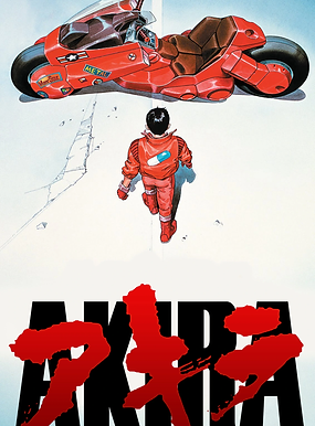 Akira_DVD.webp
