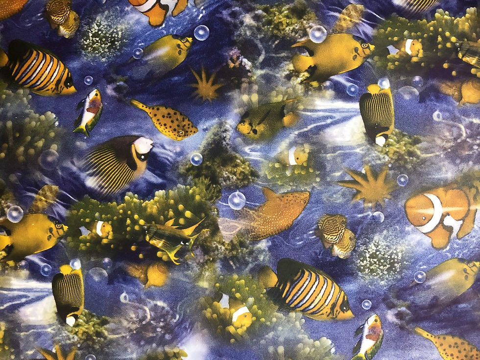 Ocean fish