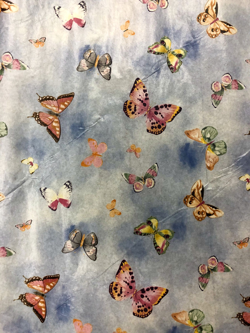 Blue butterflies