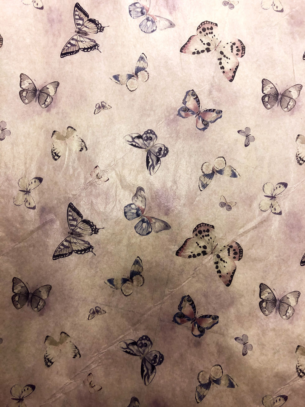 Purple butterflies